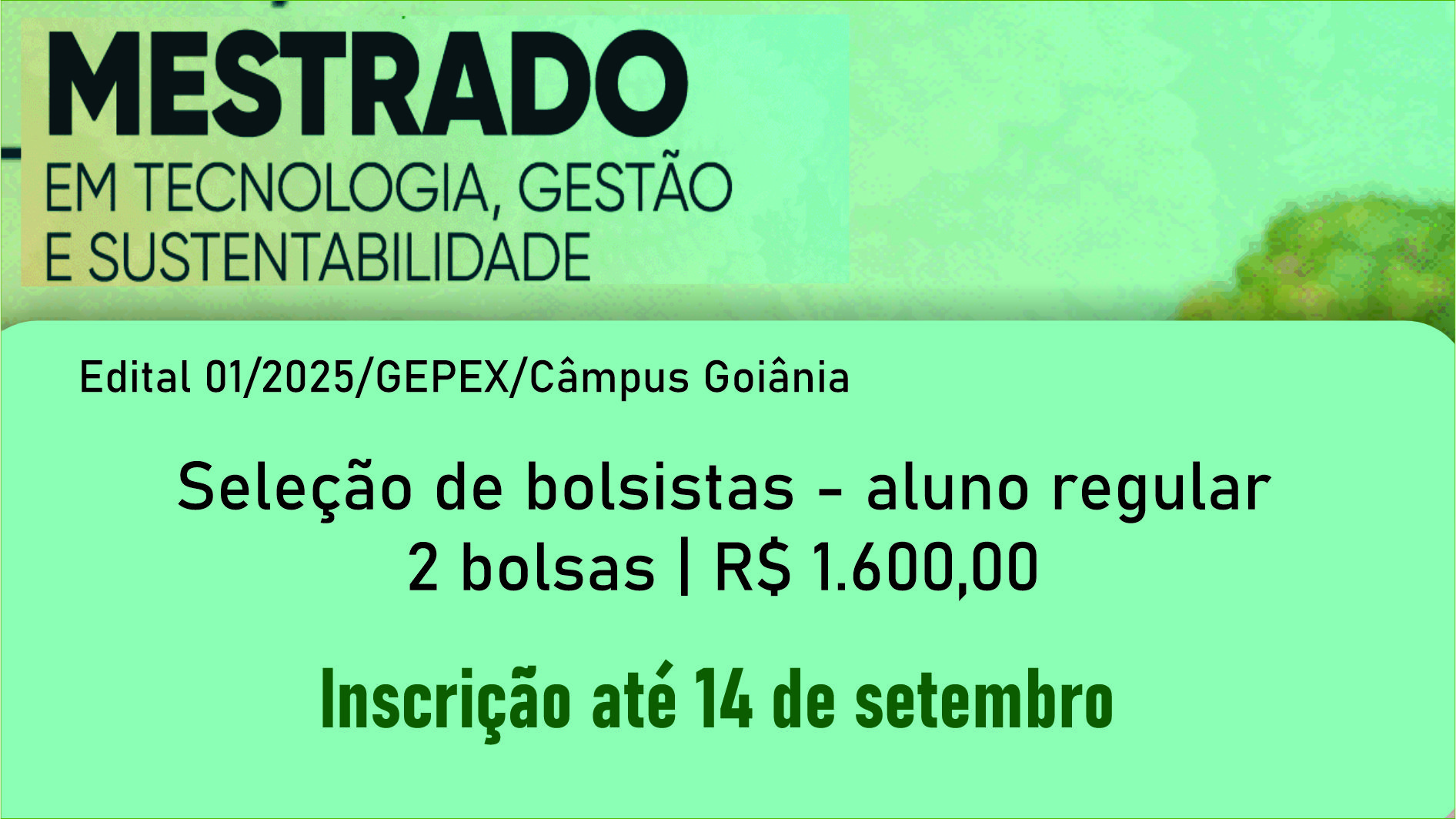 Mestrado em Tecnologia, Gestão e Sustentabilidade do IFG oferece duas bolsas de R$ 1,6 mil para alunos regulares do curso.